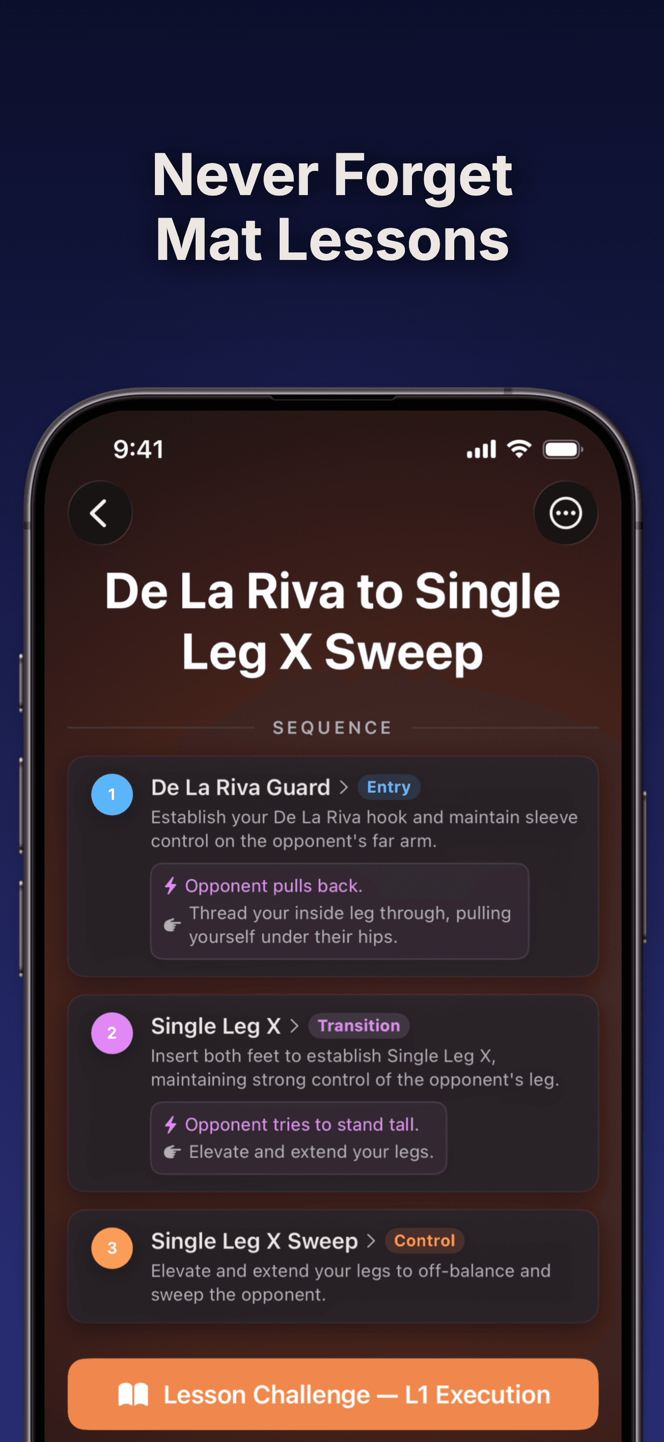 Fluxo BJJ training journal with lesson entries and technique tags